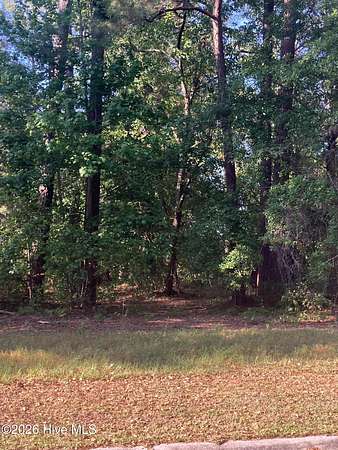 0.27 Acres of Residential Land for Sale in Wallace, North Carolina