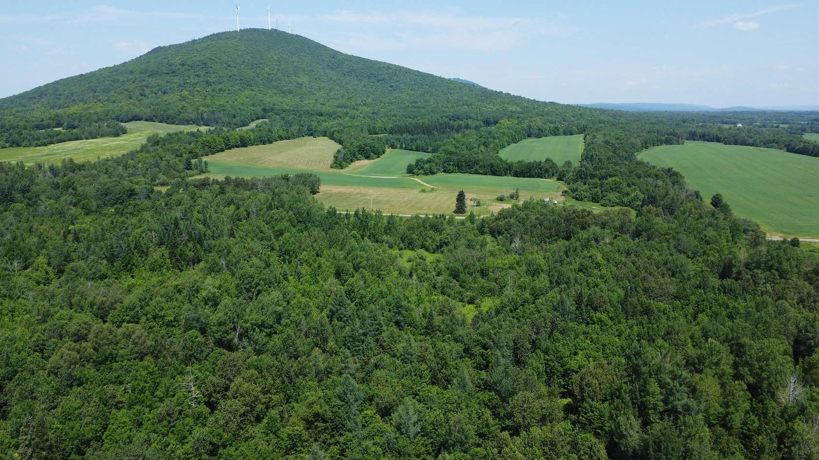 40 Acres of Agricultural Land for Sale in Blaine, Maine