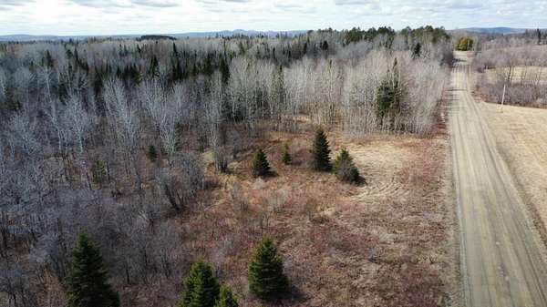 40 Acres of Agricultural Land for Sale in Blaine, Maine