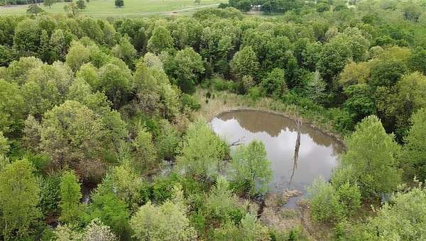 40 Acres of Recreational Land for Sale in Wetumka, Oklahoma
