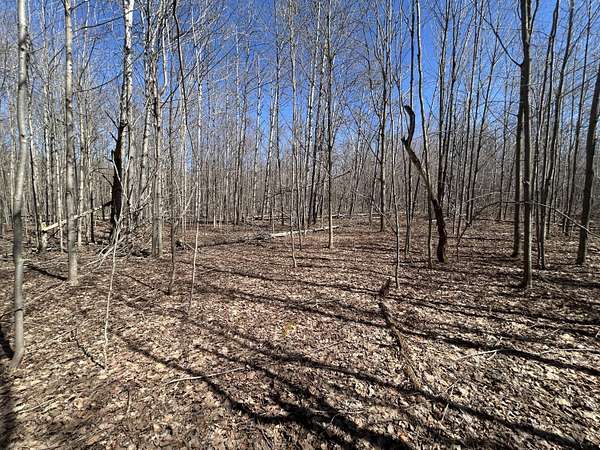 0.35 Acres of Land for Sale in Elmira, Michigan