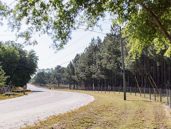 10 Acres of Residential Land for Sale in Bell, Florida