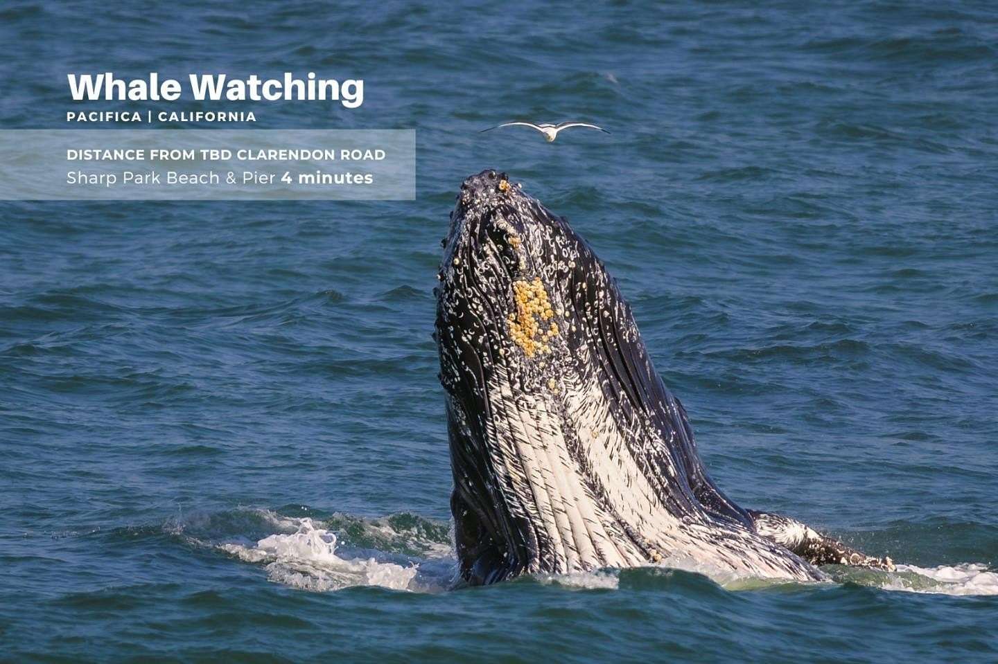 Residential Land for Sale in Pacifica, California