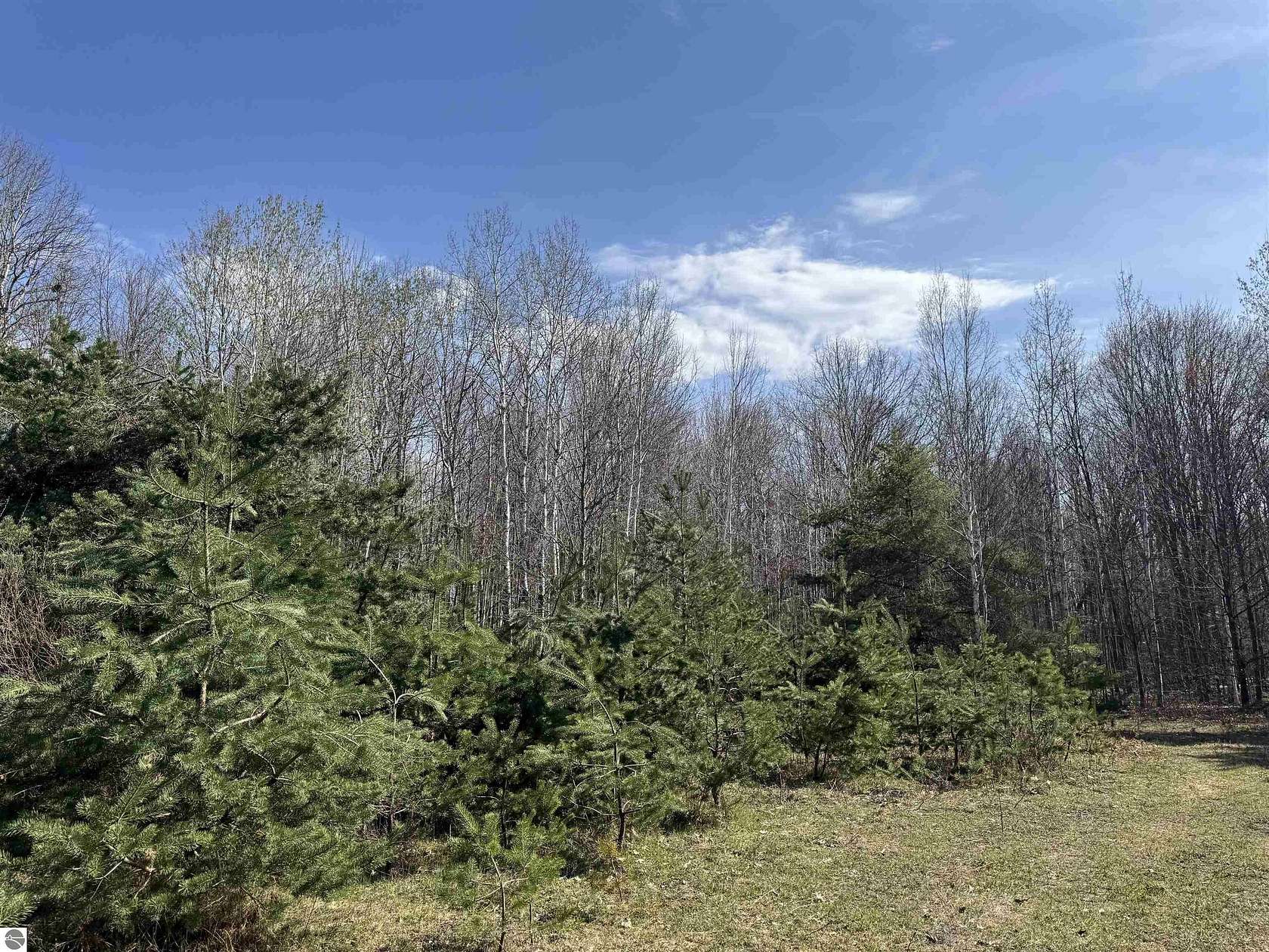38 Acres of Recreational Land for Sale in Clare, Michigan