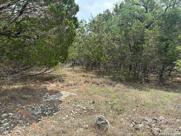 0.2 Acres of Residential Land for Sale in Spring Branch, Texas