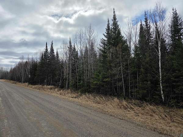 80 Acres of Recreational & Residential Land for Sale in Hibbing, Minnesota