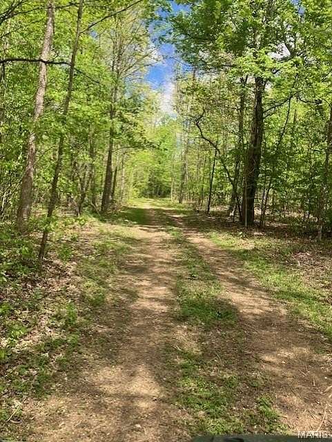 18.4 Acres of Recreational & Residential Land for Sale in Fredericktown, Missouri