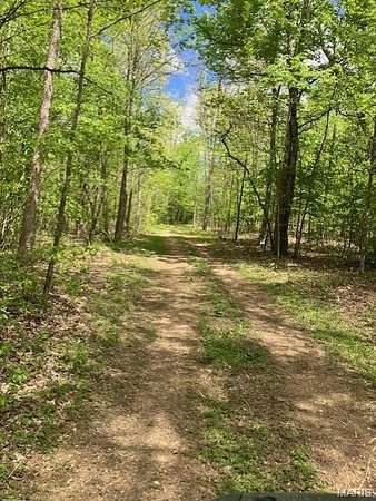 18.4 Acres of Recreational & Residential Land for Sale in Fredericktown, Missouri