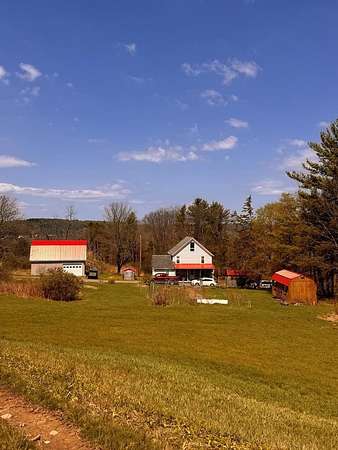 49.3 Acres of Land with Home for Sale in Barton, New York