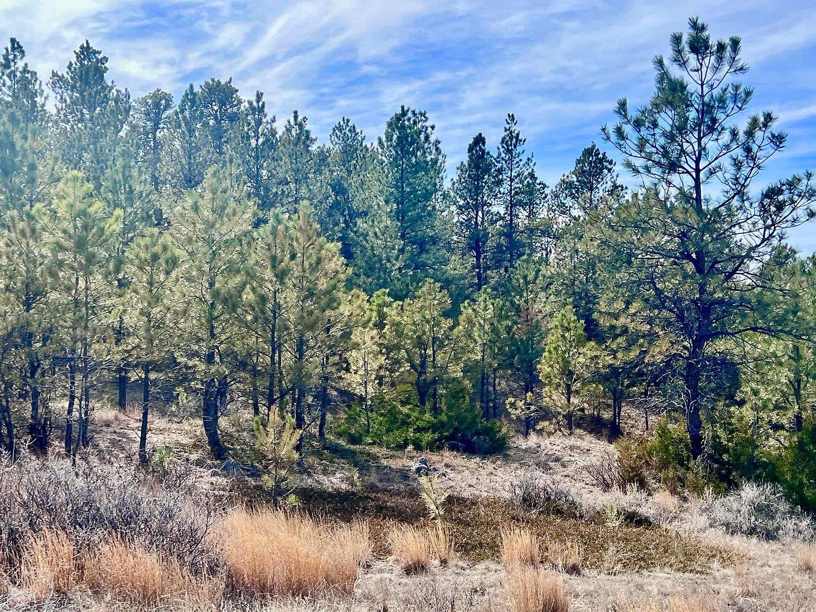 551 Acres of Land for Sale in Volborg, Montana