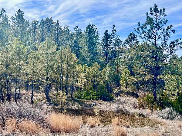 551 Acres of Land for Sale in Volborg, Montana