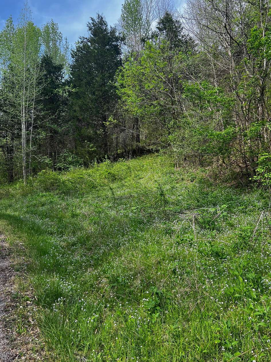 5.46 Acres of Residential Land for Sale in Celina, Tennessee