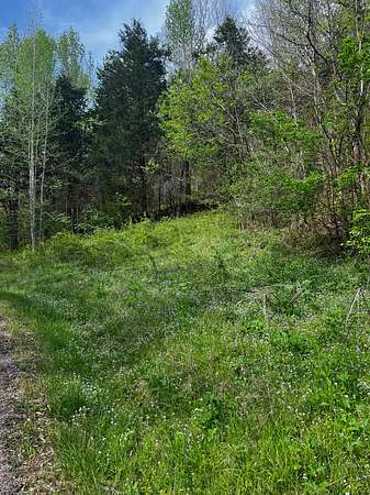 5.46 Acres of Residential Land for Sale in Celina, Tennessee