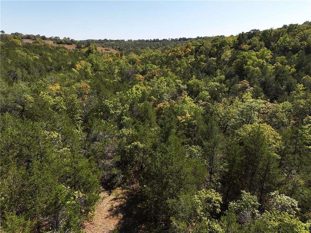 40 Acres of Recreational Land for Sale in Lead Hill, Arkansas