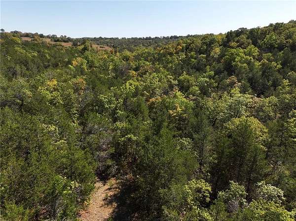 40 Acres of Recreational Land for Sale in Lead Hill, Arkansas