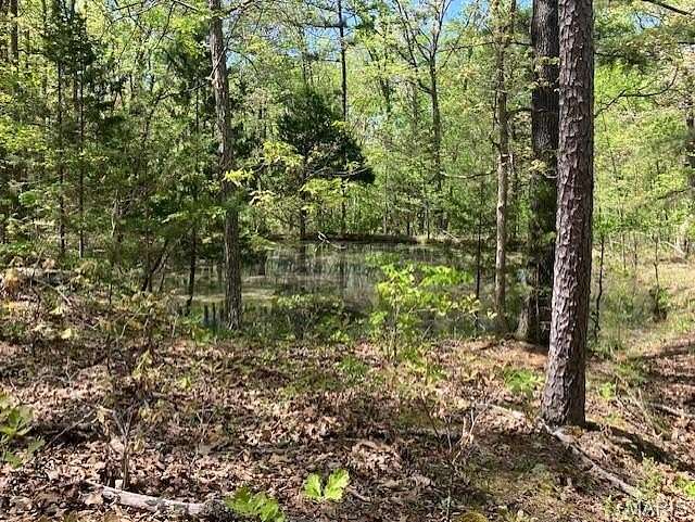 20 Acres of Recreational & Residential Land for Sale in Potosi, Missouri