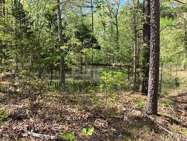 20 Acres of Recreational & Residential Land for Sale in Potosi, Missouri