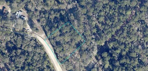 1 Acre of Residential Land for Sale in Reidsville, Georgia