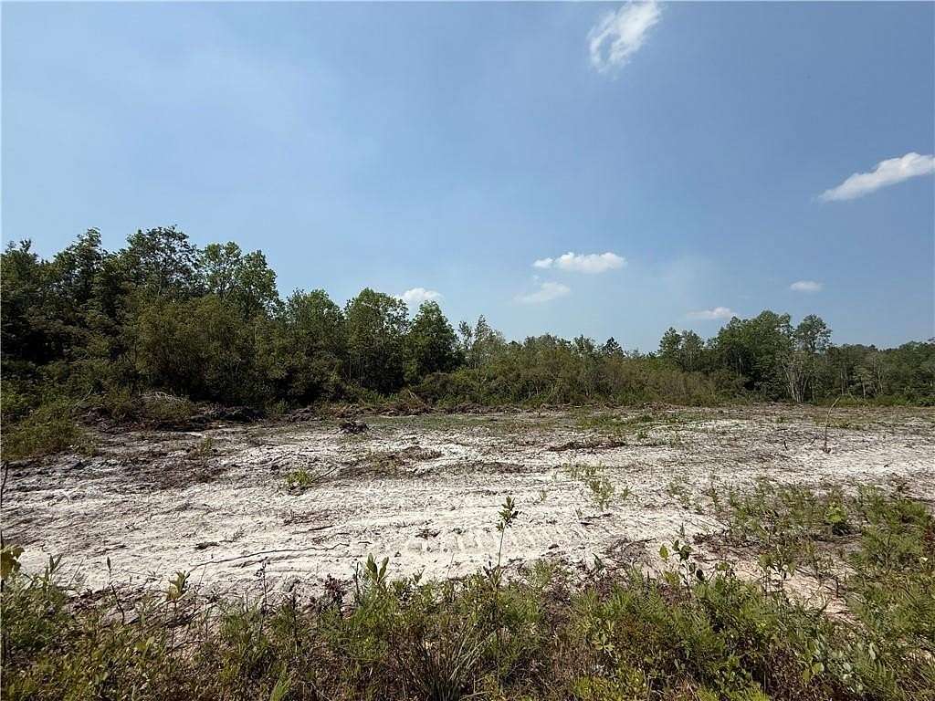 29.6 Acres of Recreational & Residential Land for Sale in Waynesville, Georgia