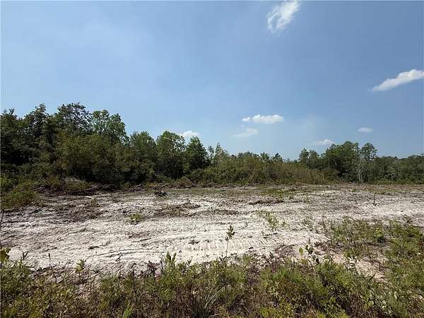 29.6 Acres of Recreational & Residential Land for Sale in Waynesville, Georgia