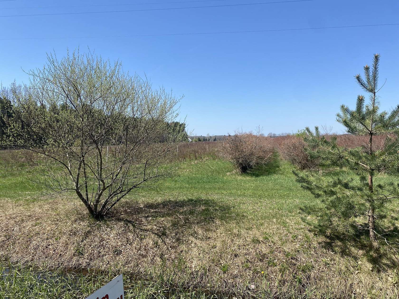 13 Acres of Land for Sale in Ravenna, Michigan