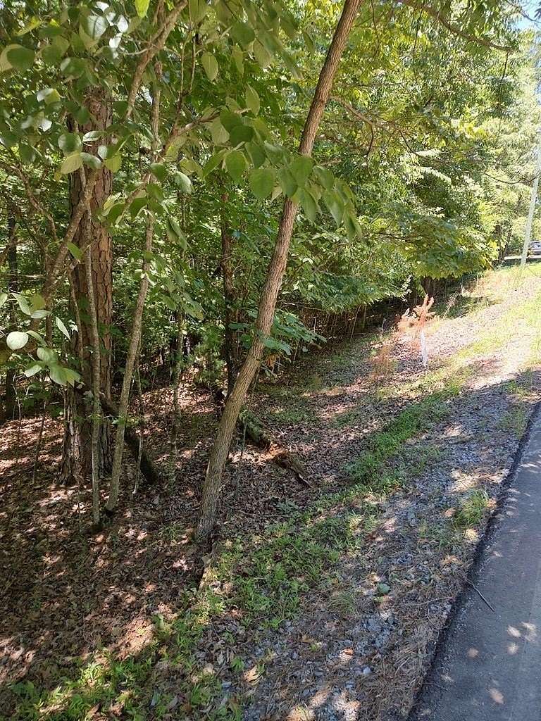 1 Acre of Land for Sale in Ellijay, Georgia
