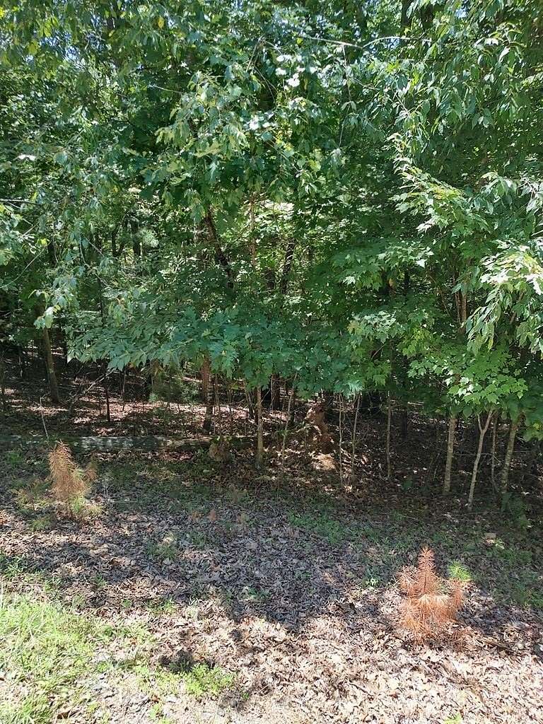 1 Acre of Land for Sale in Ellijay, Georgia