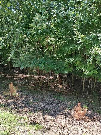 1 Acre of Land for Sale in Ellijay, Georgia