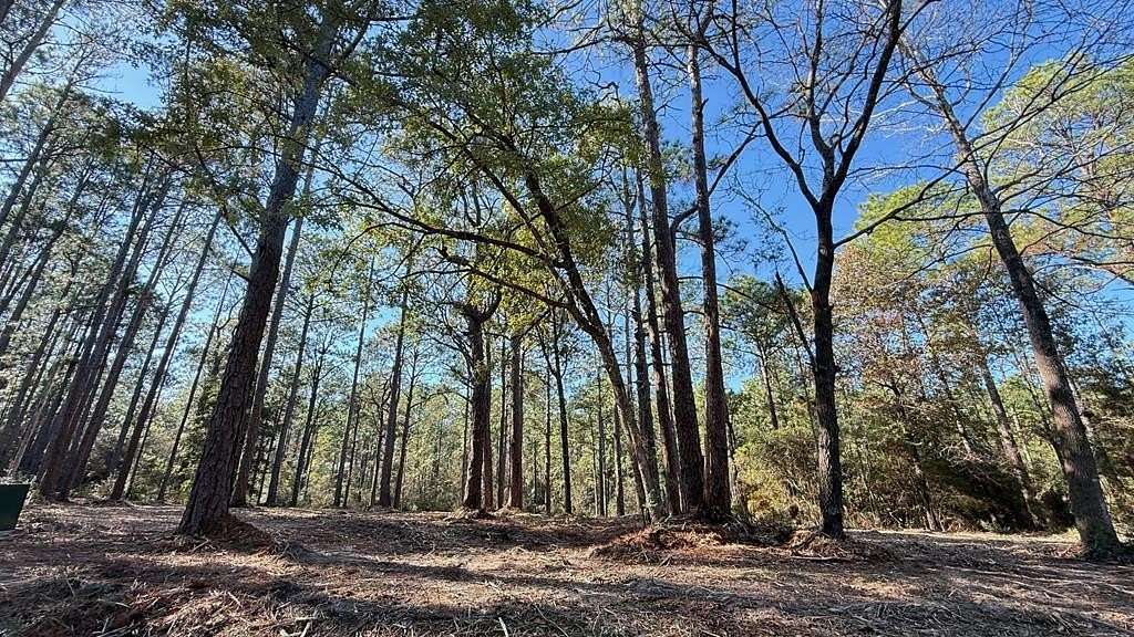 0.49 Acres of Residential Land for Sale in Brookeland, Texas