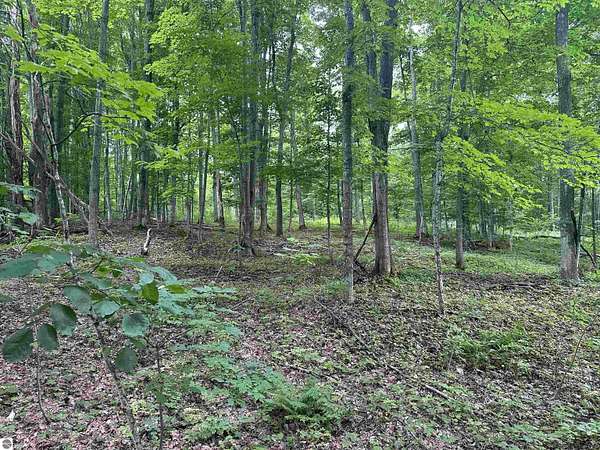 6.25 Acres of Residential Land for Sale in Maple City, Michigan