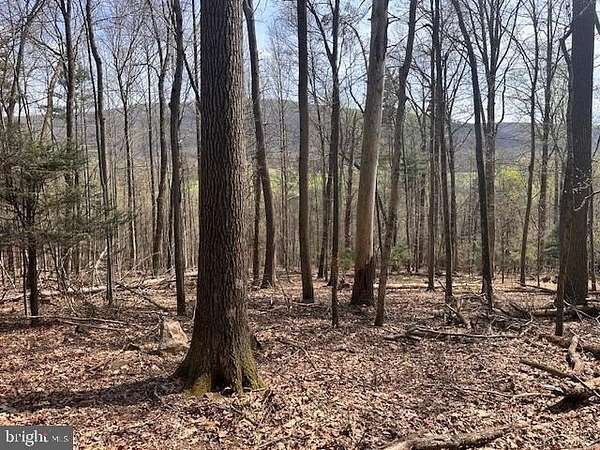 2 Acres of Land for Sale in Shamokin, Pennsylvania