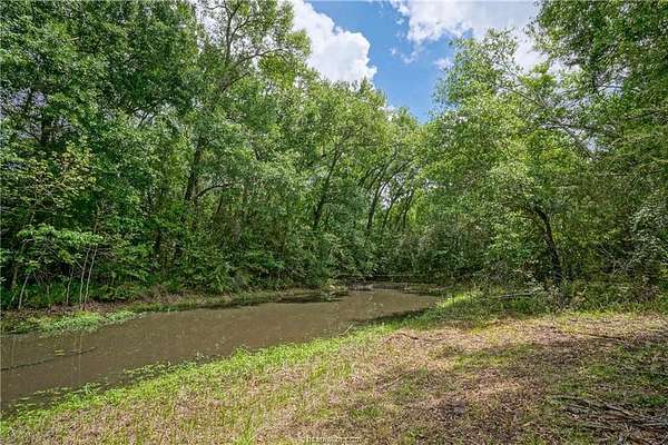 21 Acres of Recreational & Residential Land for Sale in Bedias, Texas