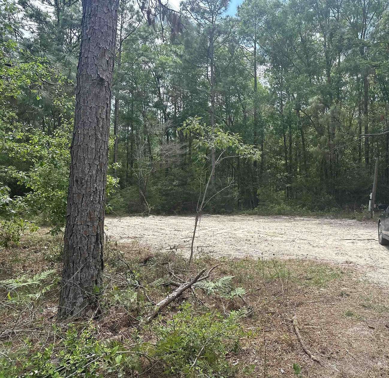 3.5 Acres of Residential Land for Sale in Woodville, Florida