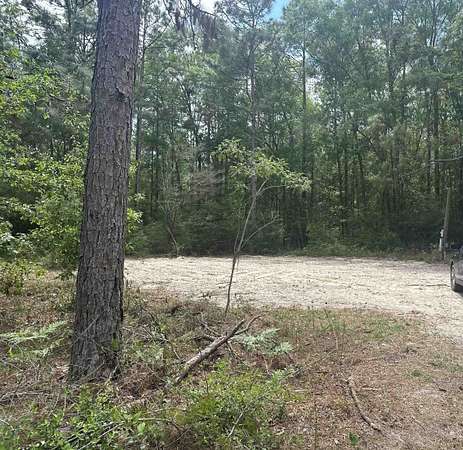 3.5 Acres of Residential Land for Sale in Woodville, Florida