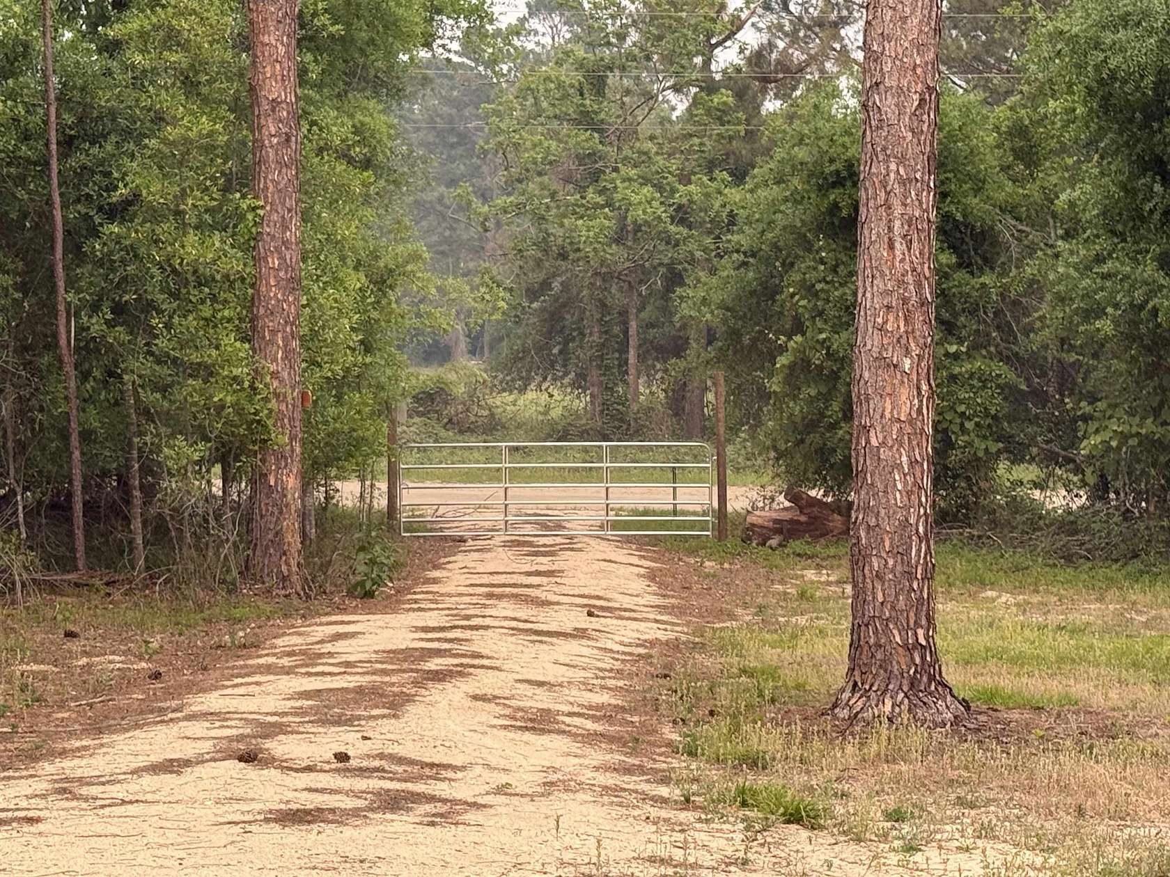 3 Acres of Residential Land for Sale in Lee, Florida