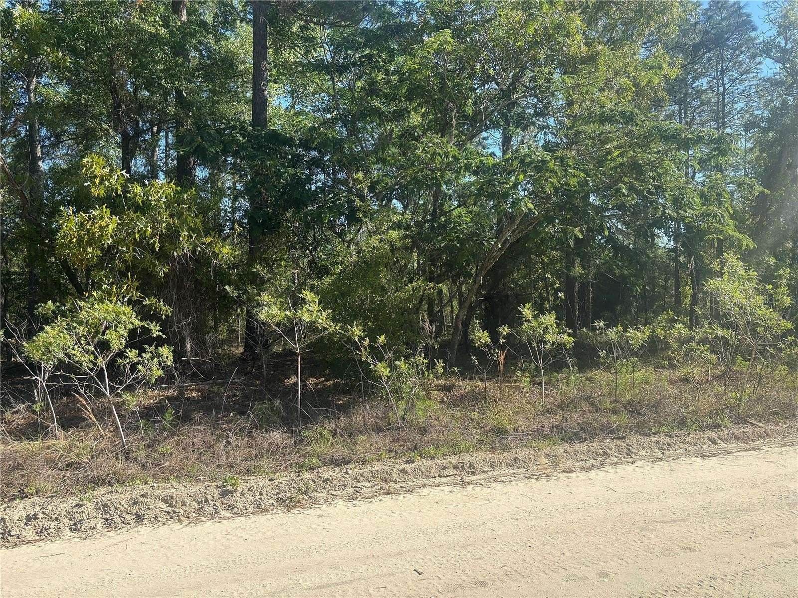 0.5 Acres of Residential Land for Sale in Ocala, Florida