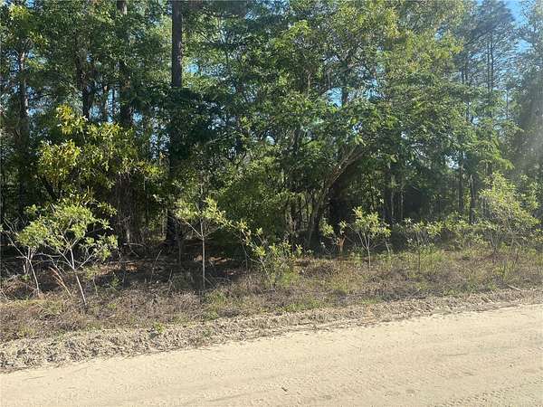 0.5 Acres of Residential Land for Sale in Ocala, Florida