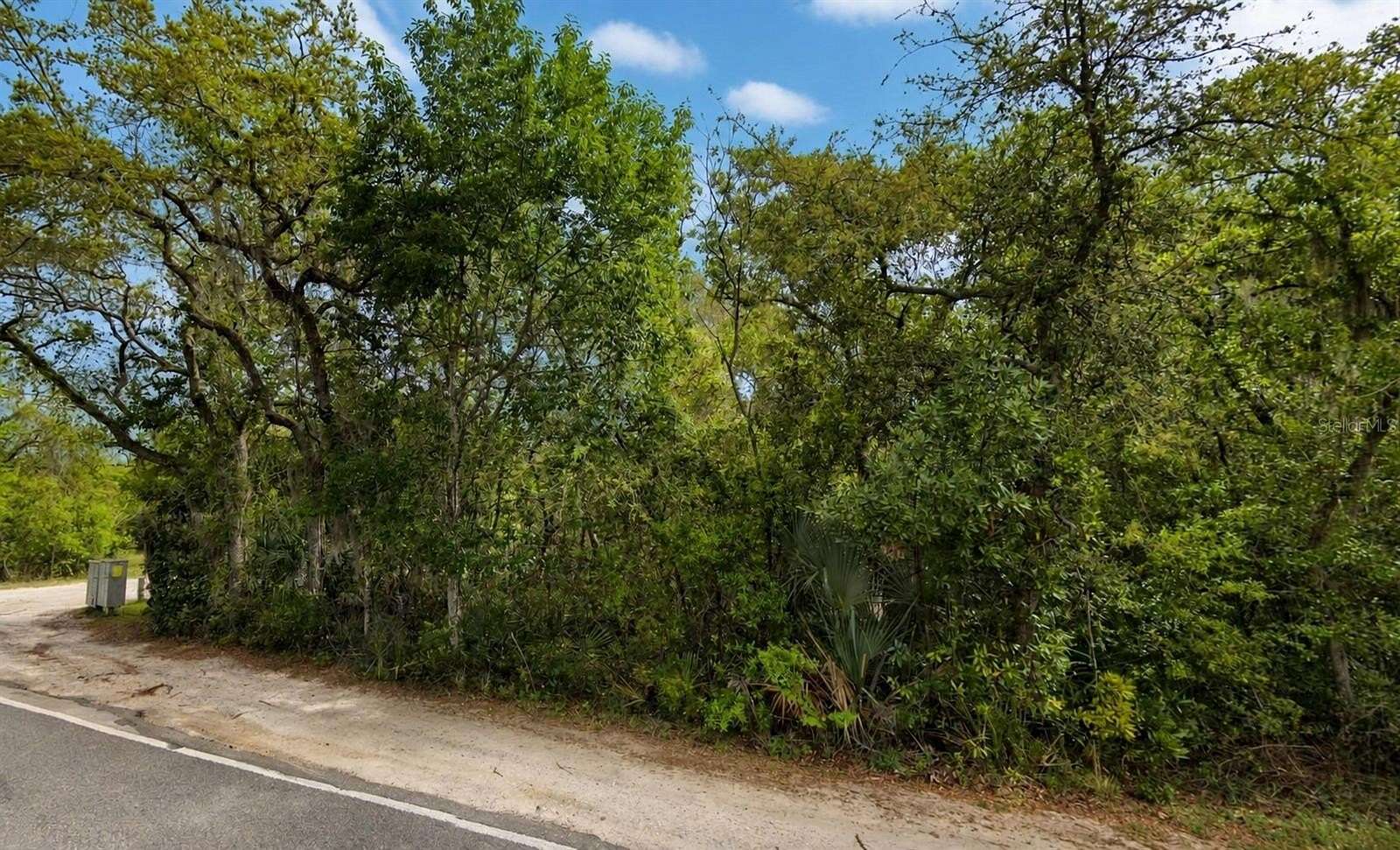 0.24 Acres of Residential Land for Sale in Fort McCoy, Florida