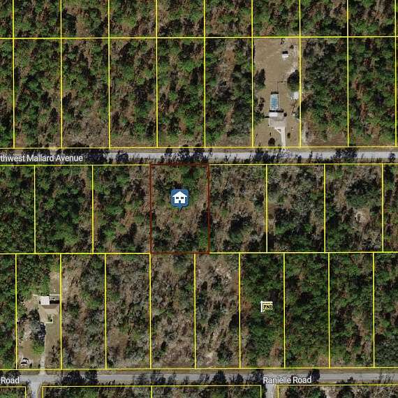 1 Acre of Residential Land for Sale in Dunnellon, Florida