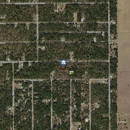 1 Acre of Residential Land for Sale in Dunnellon, Florida