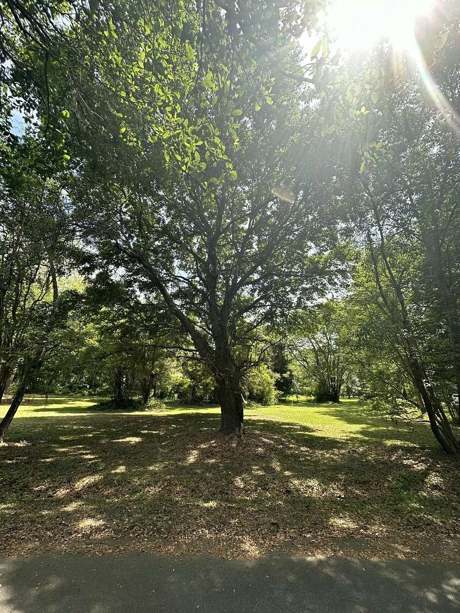 0.37 Acres of Residential Land for Sale in McClellanville, South Carolina