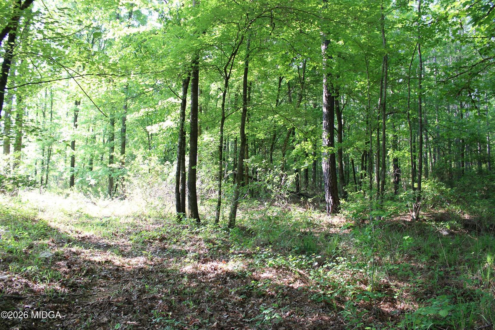 15.5 Acres of Land for Sale in Forsyth, Georgia