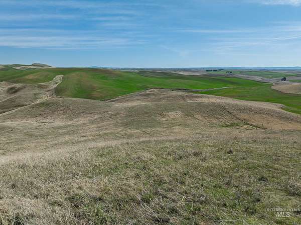 20 Acres of Agricultural & Residential Land for Sale in Moscow, Idaho