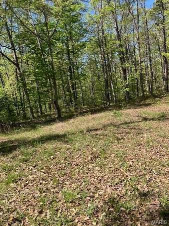 20.6 Acres of Recreational & Residential Land for Sale in Potosi, Missouri