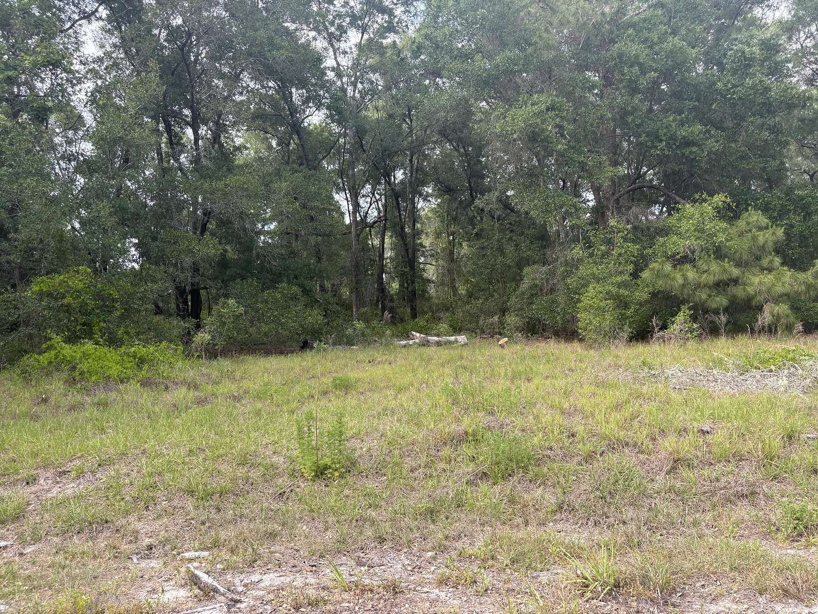 0.3 Acres of Residential Land for Sale in Ocala, Florida