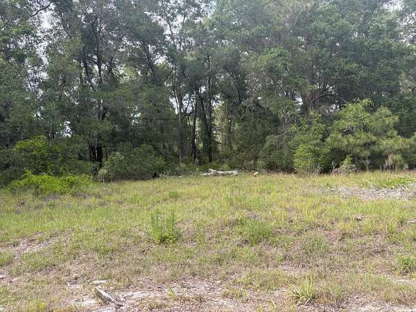 0.3 Acres of Residential Land for Sale in Ocala, Florida