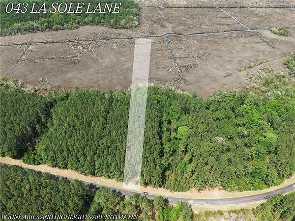3 Acres of Residential Land for Sale in Waverly, Georgia