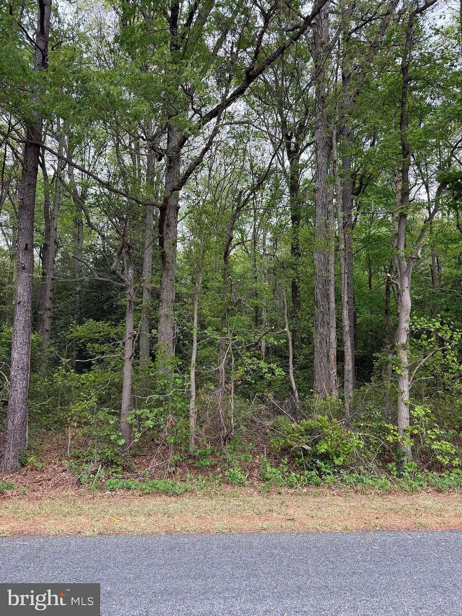 1.12 Acres of Residential Land for Sale in Houston, Delaware