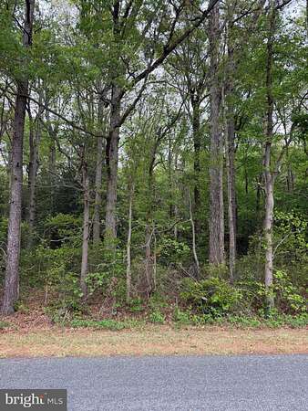 1.12 Acres of Residential Land for Sale in Houston, Delaware