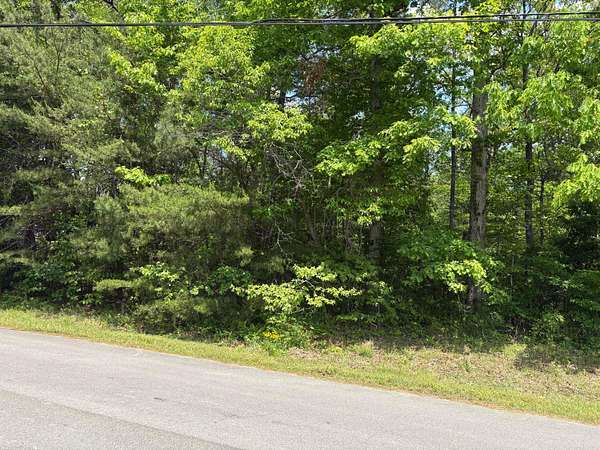 Residential Land for Sale in Jasper, Alabama